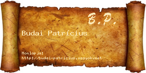 Budai Patrícius névjegykártya