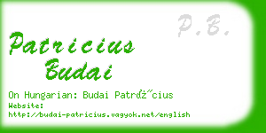 patricius budai business card